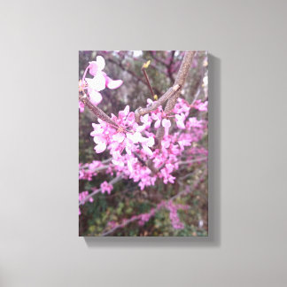 Full Bloom Canvas Print