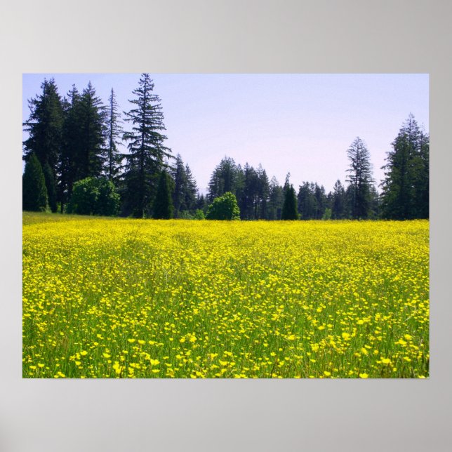 Full bloom poster (Front)