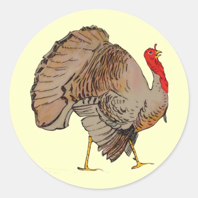 Full Colour Thanksgiving Turkey Classic Round Sticker (Front)