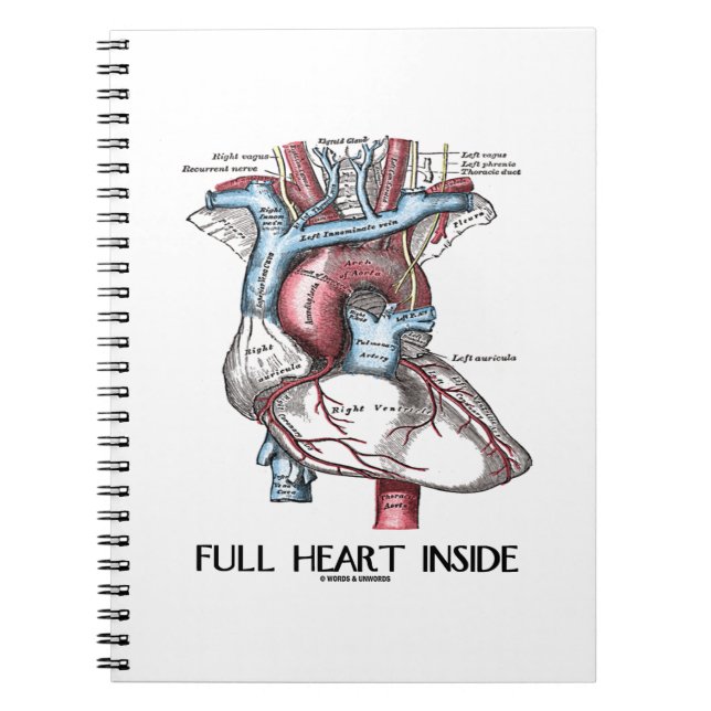 Full Heart Inside Anatomical Illustration Notebook (Front)