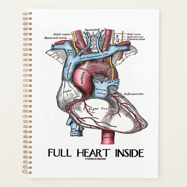 Full Heart Inside Anatomical Illustration Planner (Front)