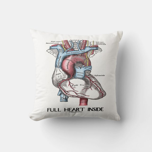 Full Heart Inside (Anatomical Illustration) Throw Pillow (Front)