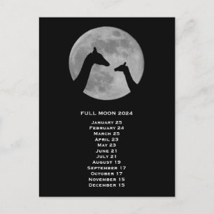 Full Moon 2024 US Eastern Date Postcard