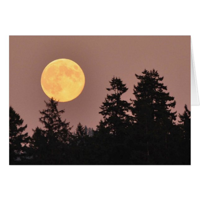 Full Moon August 2013 - Frameable Art Card (Front Horizontal)