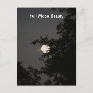 Full Moon Beauty Postcard