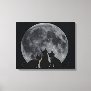 Full Moon Canvas Print