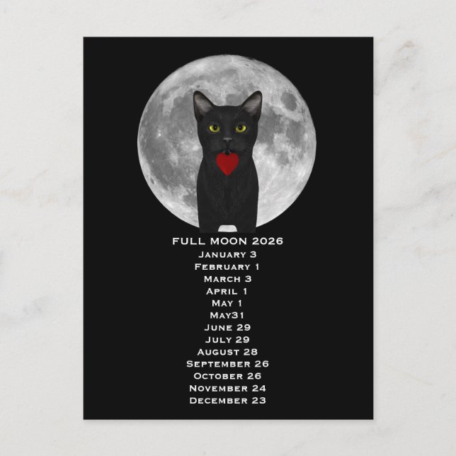Full Moon  Cat 2026  Postcard (Front)