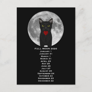Full Moon Cat 2026 Postcard