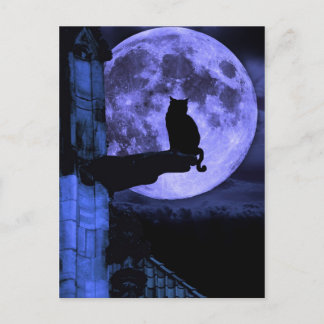 Full Moon Cat Postcard
