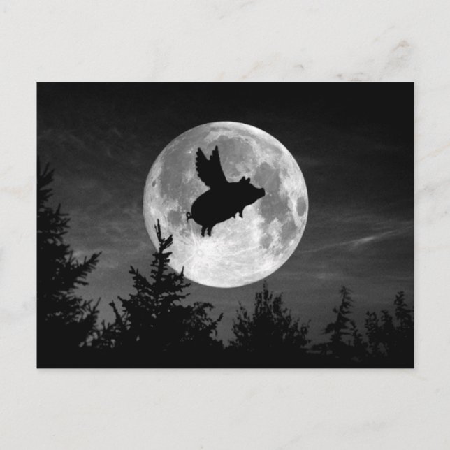 full moon flying pig postcard (Front)