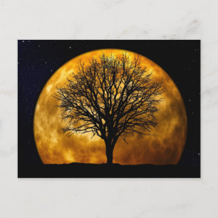 Full Moon Midnight Postcard