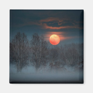 Full Moon November in Scalenghe, Italy Magnet