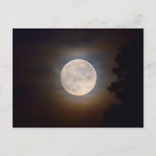 Full Moon on a Misty Evening -  Postcard