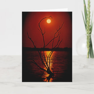 Full Moon Over the Lake notecard
