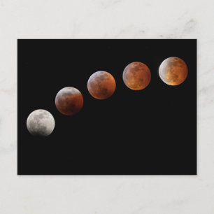 Full Moon Phases Total Lunar Eclipse   Colorado Postcard