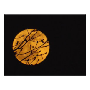 Full Moon Photo  Print