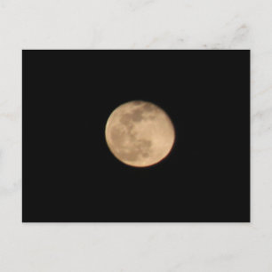 Full Moon Postcard