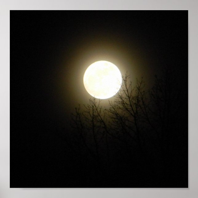 Full Moon Poster (Front)