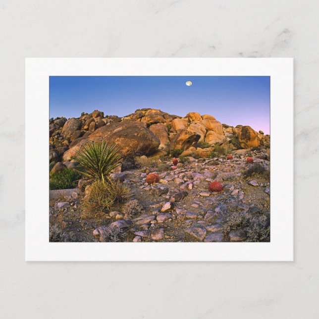 " Full Moon Setting Over Ring Of Fire" Postcard (Front)