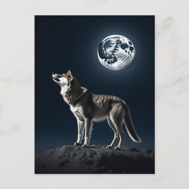 Full Moon Shining on the Wolf  Postcard (Front)