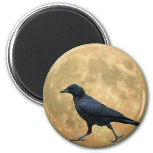 Full Moon, Walking Crow Magnet