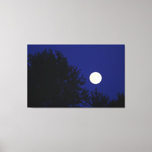 Full Moon with Trees and Blue Sky Canvas Print