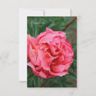 Full Pink Peony Card