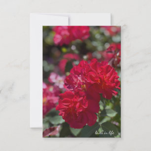 Full Red Roses Card