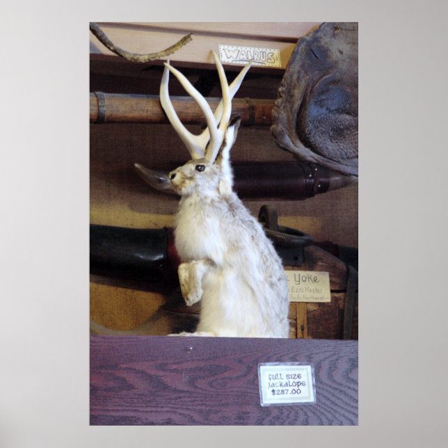 Full Size Jackalope $287.00 Poster (Front)