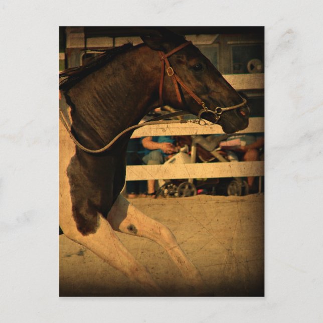 Full Speed Ahead Postcard (Front)