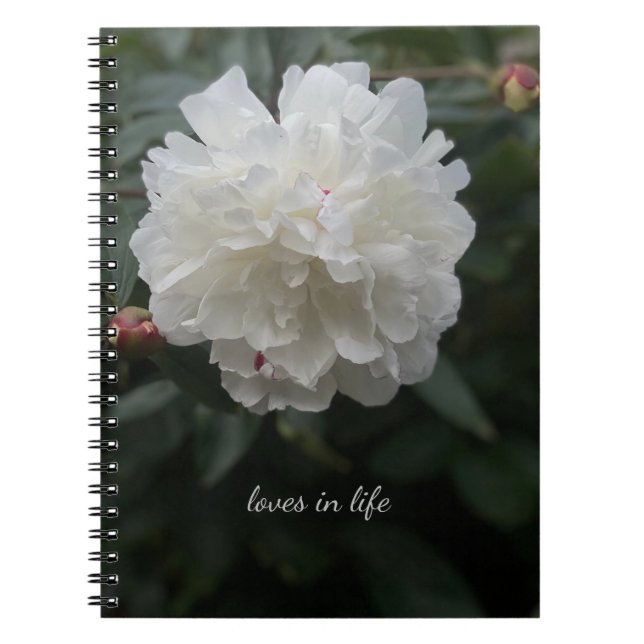 Full White Peony Notebook (Front)