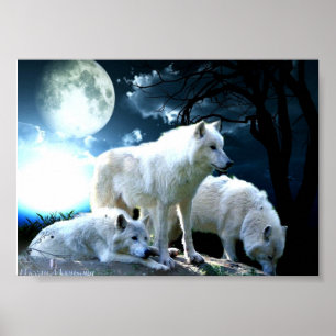 Full Wolf Moon Poster