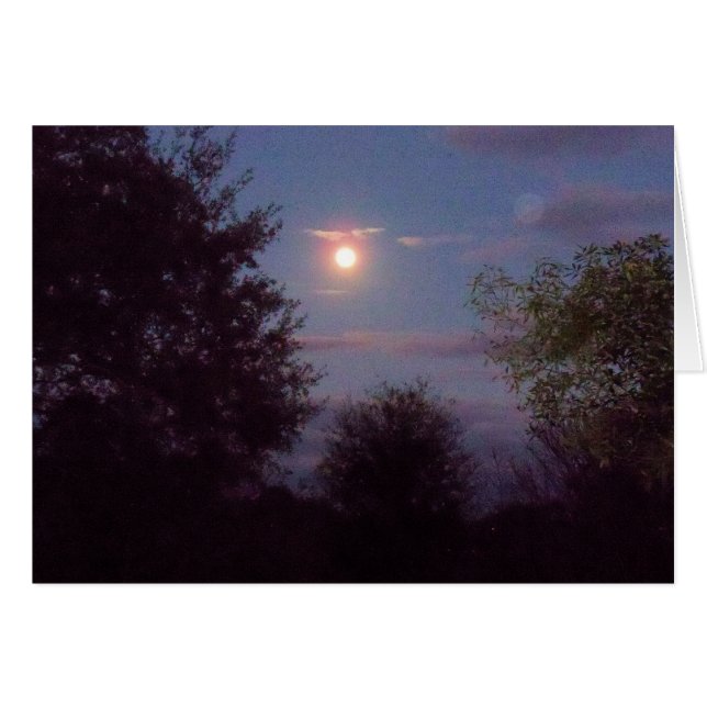 full Wolf moon rising - on a blank card (Front Horizontal)