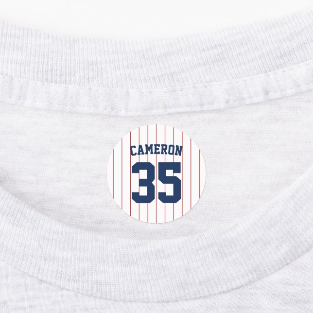 Fully Editable Colours Baseball Jersey Stripes Nam (Affixed)