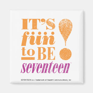 Fun 2 B 17-Orange Magnet