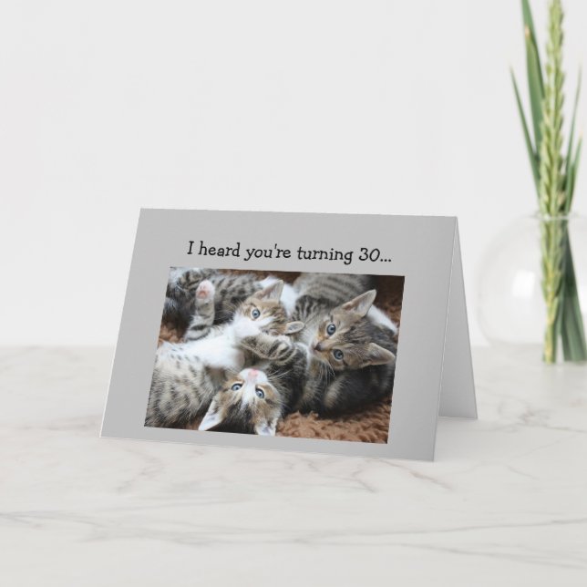 Fun 30th Birthday Kitten Cat Animal Humour  Card (Front)