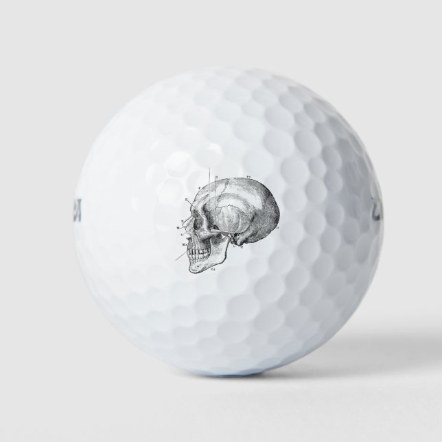 Fun Anatomy Golf Balls (Front)