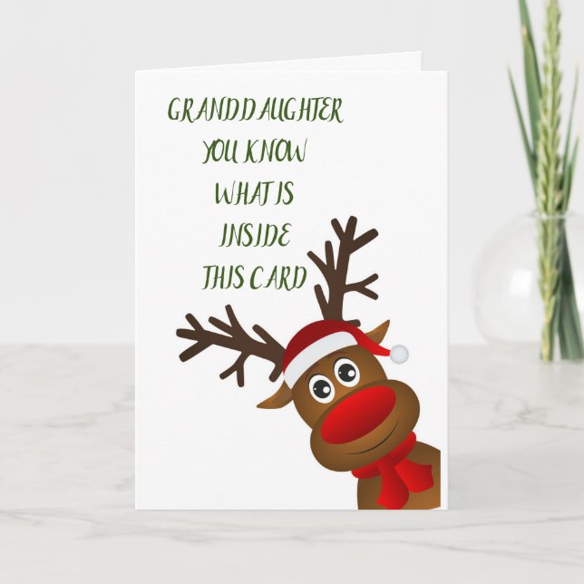 FUN AND COOL WISH FOR YOU *GRANDDAUGHTER* HOLIDAY CARD (Front)