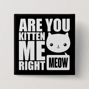 Fun Are You Kitten Me Right Meow Square Button