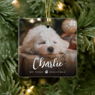 Fun Art Nouveau Type Pet's First Christmas Photo Ceramic Ornament