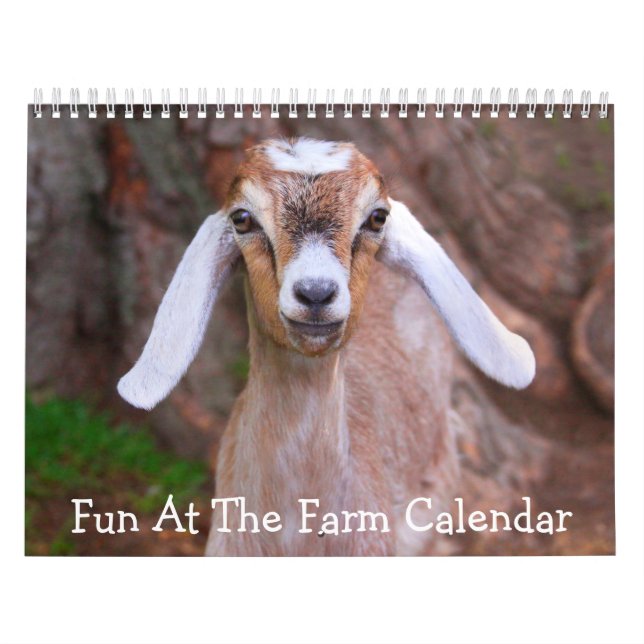 Fun At The Farm Calendar (Cover)