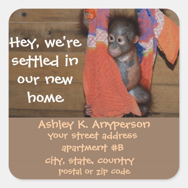 Fun Baby Orangutan Change of Address  Labels (Front)