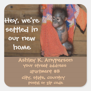 Fun Baby Orangutan Change of Address Labels