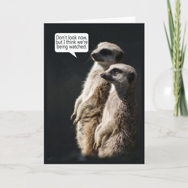Fun Birthday Card With Meerkats - Humour (Front)