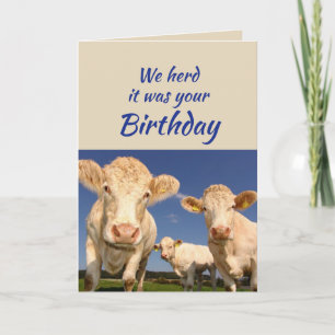 Fun Birthday From the Group Cow Animal Humour Card