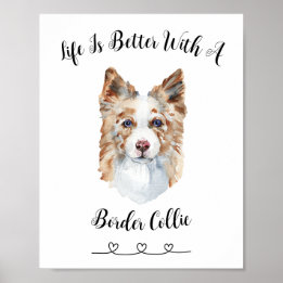 Fun Border Collie Aquarelle Mur Art Poster