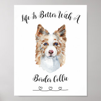Fun Border Collie Watercolor Wall Art Poster