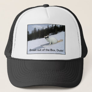 Fun "Break out of the Box" Cat Ball Cap