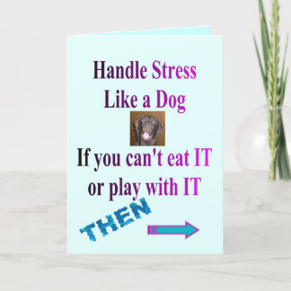 FUN CARD STRESS RELIEVER