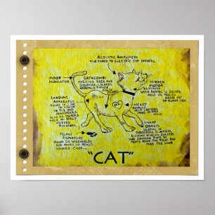 Fun CAT Description Poster! Poster